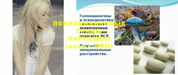 стафф Алзамай